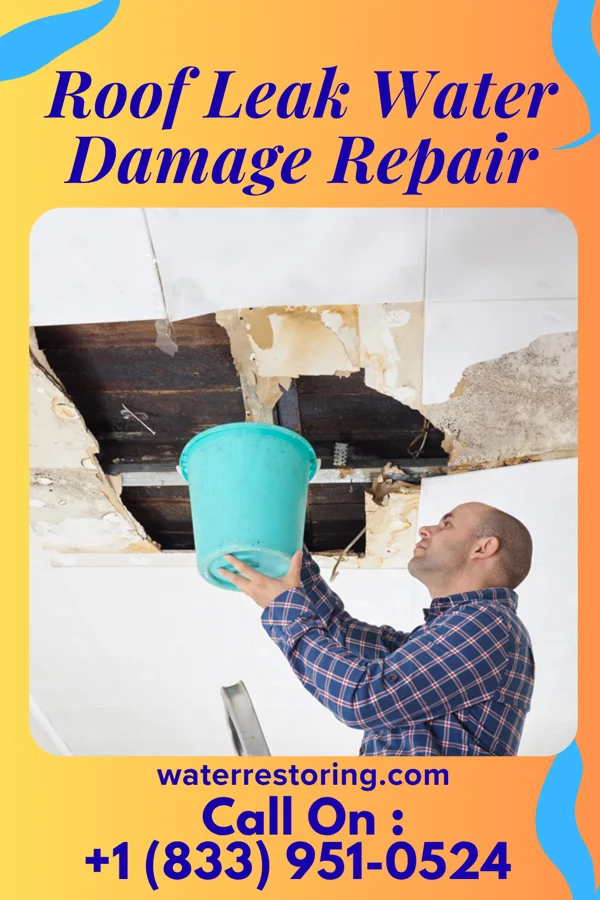 Roof Leak Water Damage Repair in Beacon Hill, WA